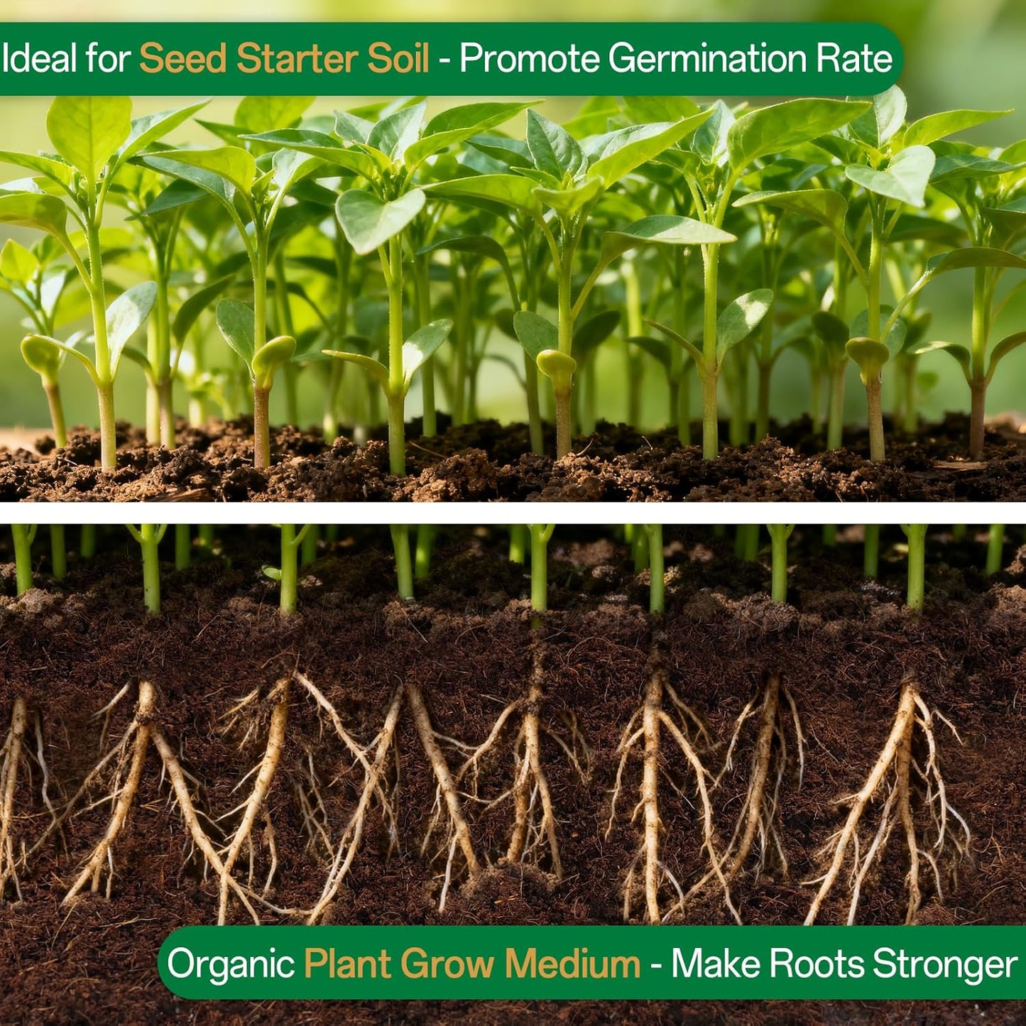 Stop Killing Your Plants With Bad Soil.