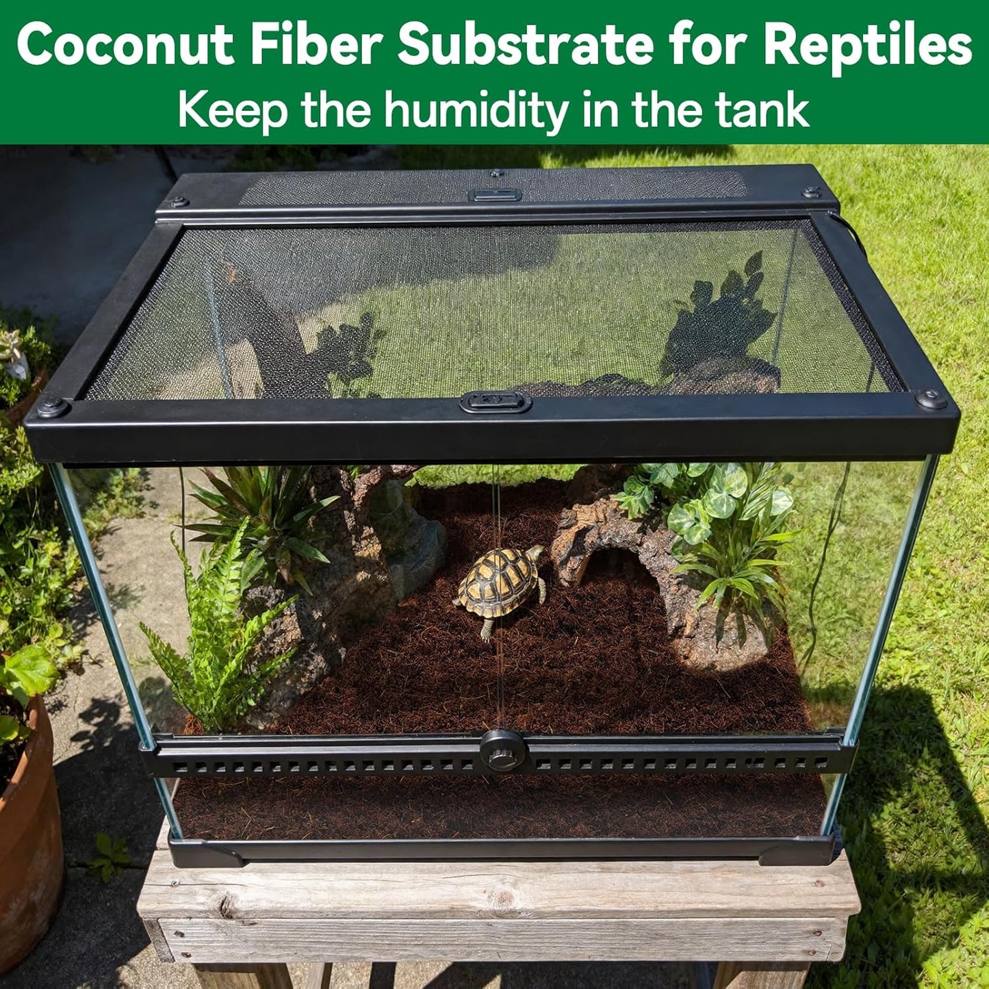 Stop Killing Your Plants With Bad Soil.