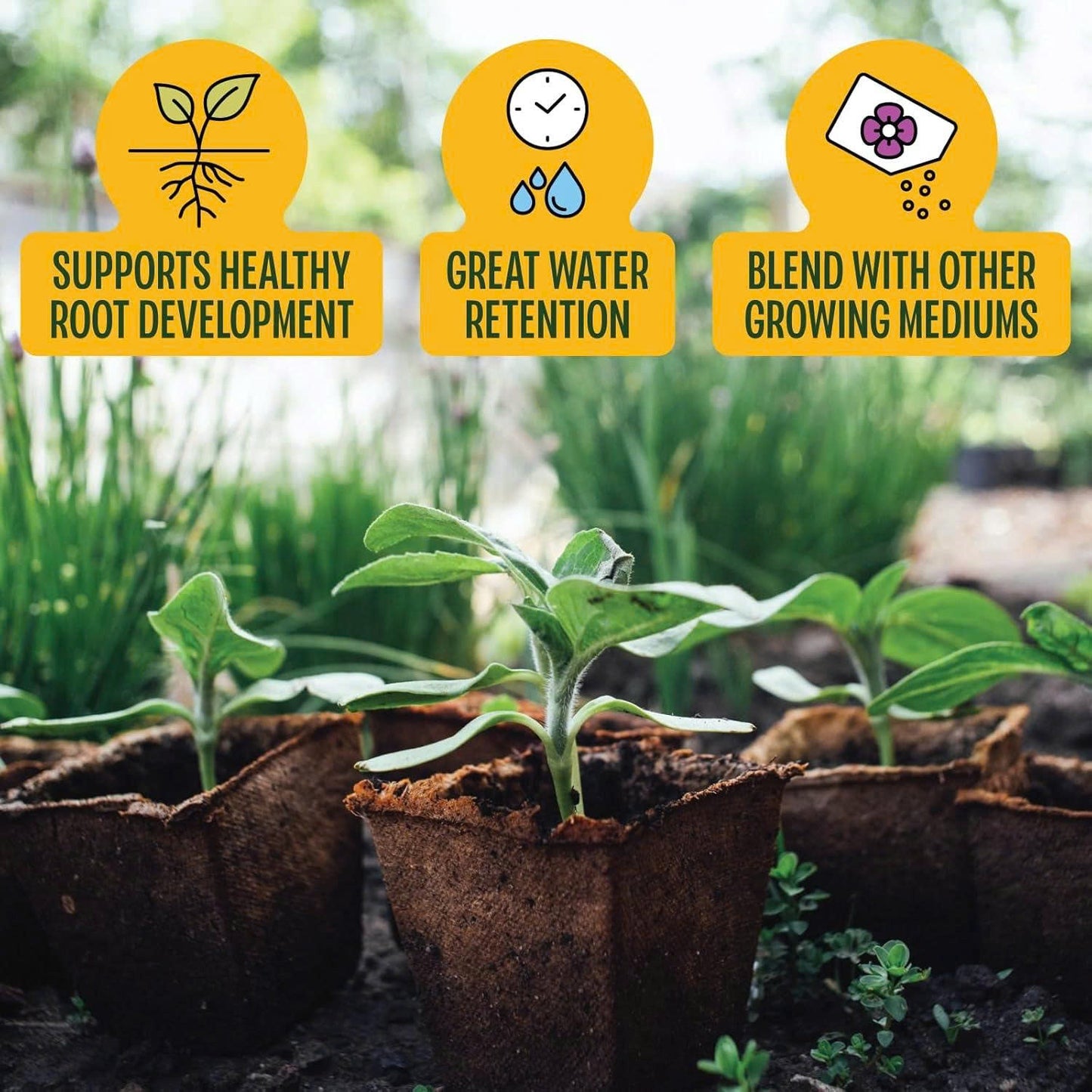 Stop Killing Your Plants With Bad Soil.