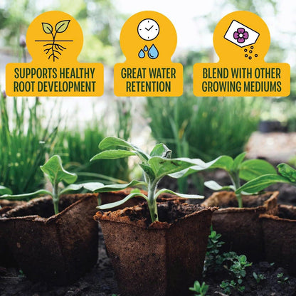 Stop Killing Your Plants With Bad Soil.